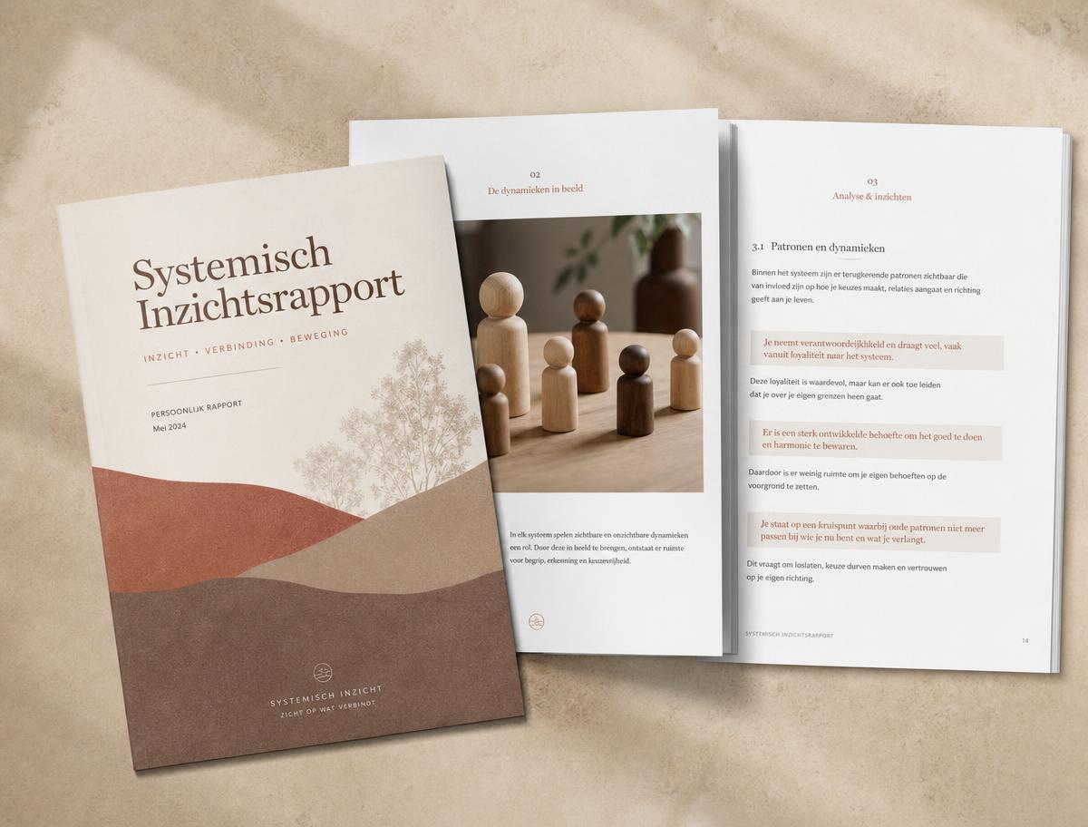 Voorbeeld van het systemisch inzichtsrapport met omslag, opstelling en analyse